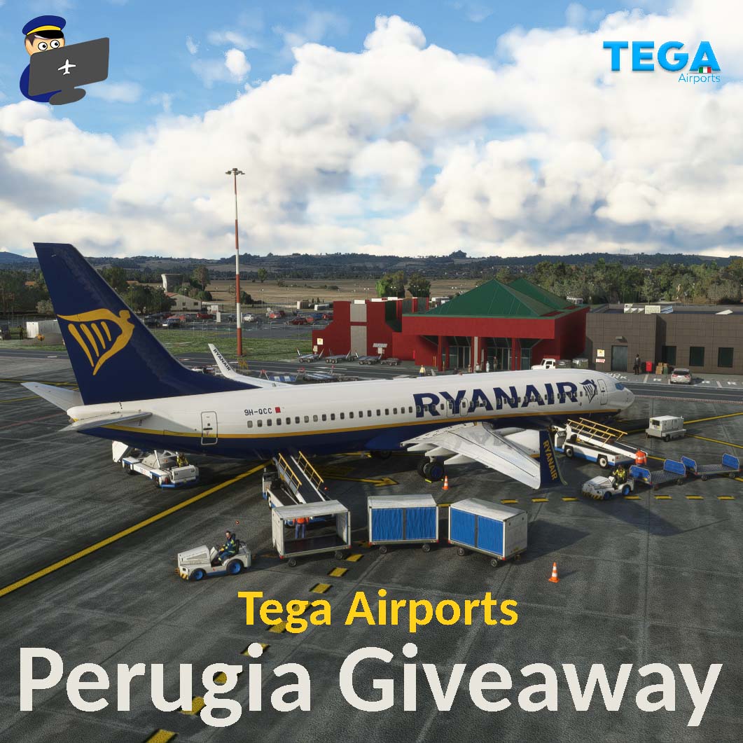 FilbertFlies tweet media