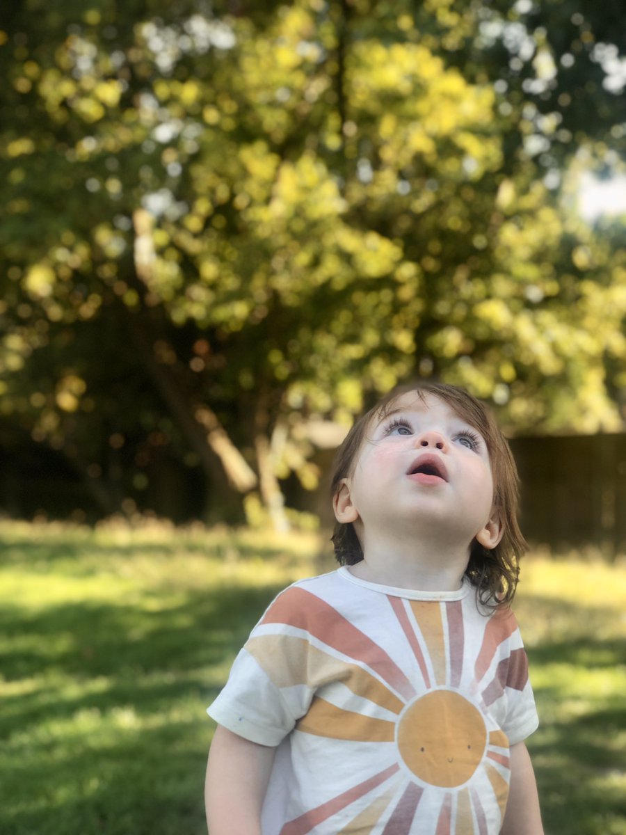 It’s nice to stop and notice the birds.