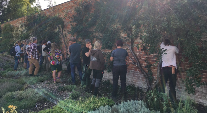 PlantNetwork's tweet photo. Spent two days with some amazing horticulturists @EHAudleyEnd as part of the Erasmus+ #CSGC project - learning and fine-tuning trained fruit pruning skills! Thank you all for an enthusiastic and stimulating workshop.... https://t.co/N7d3I4zjyf