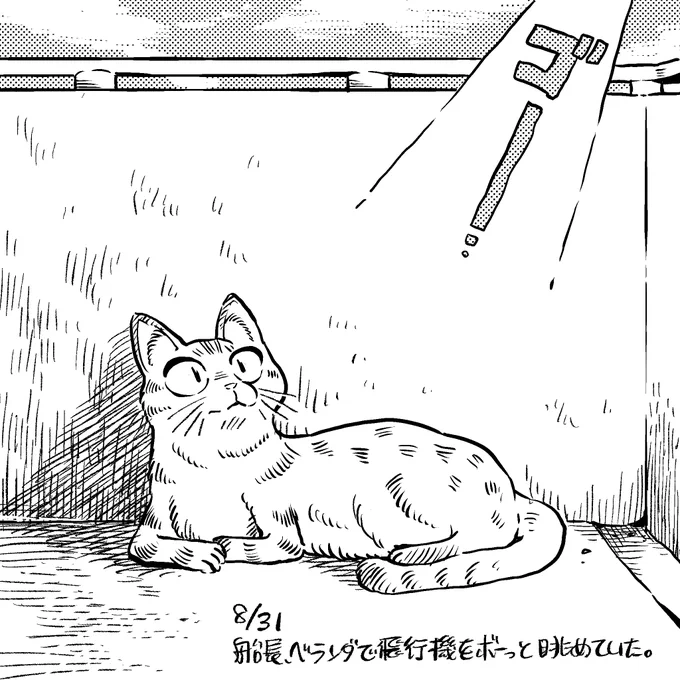 8月31日 #ふなやま絵日記 