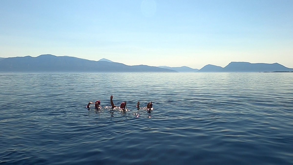 Let the good times roll!

#swimmingabroad #swimmingholidays #swimmingingreece #openwaterswimmer #swimmingcommunity #greekislands #summer2022 #openwaterswimming #greece #greekholidays #summerholidayfun