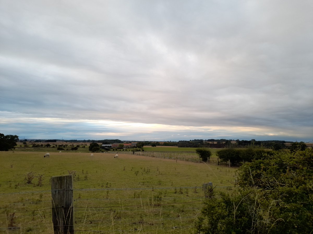 Last tweet for we active challenge #AHPsActive, managed to fit in an extra walk with the girls, good time for us but we were surprised by how dark it got. Head torches next time.