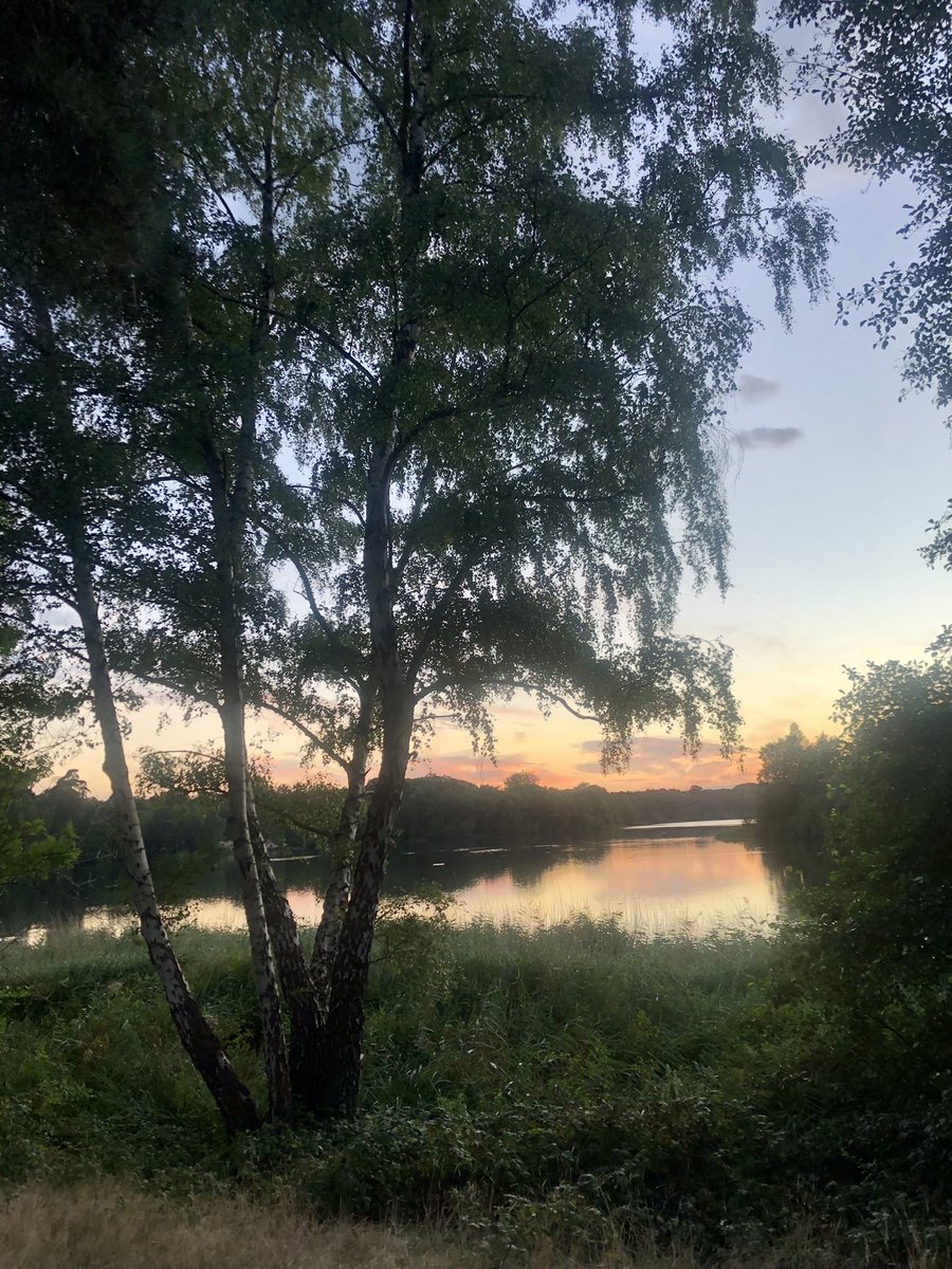 Heather_CCN's tweet photo. Good 5km walk this evening and sorted the front garden. August has been a good month! 102.2km! Thank you @WeNurses it’s been fun! #ActiveNurses #WeActiveChallenge2022 @CareCcn https://t.co/63ftF9OOeM