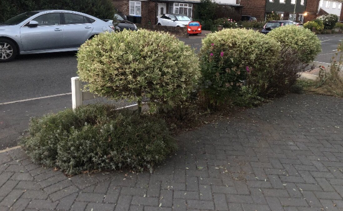 Heather_CCN's tweet photo. Good 5km walk this evening and sorted the front garden. August has been a good month! 102.2km! Thank you @WeNurses it’s been fun! #ActiveNurses #WeActiveChallenge2022 @CareCcn https://t.co/63ftF9OOeM
