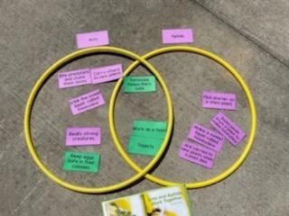 MichiganAvenueE's tweet photo. Today Mrs. Allen's Second Grade class used Venn Diagrams to compare and contrast ants and aphids.
#growingstudentsbuildingfutures #masrocks https://t.co/2nseEKv6EB