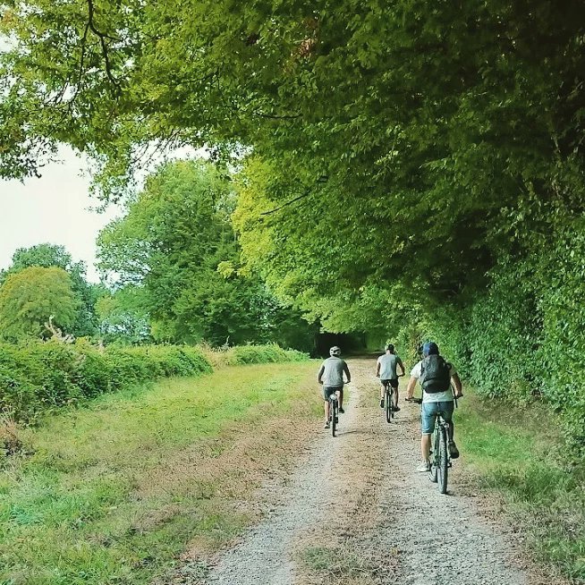 VelosPierrot's tweet photo. Sortie VTT entre amis au cœur de la forêt de Signy-l'Abbaye. Ressourcez vous avec les Vélos de Pierrot. 
#ardennestourisme #vtt #sortievelo https://t.co/y1n0oYIPio