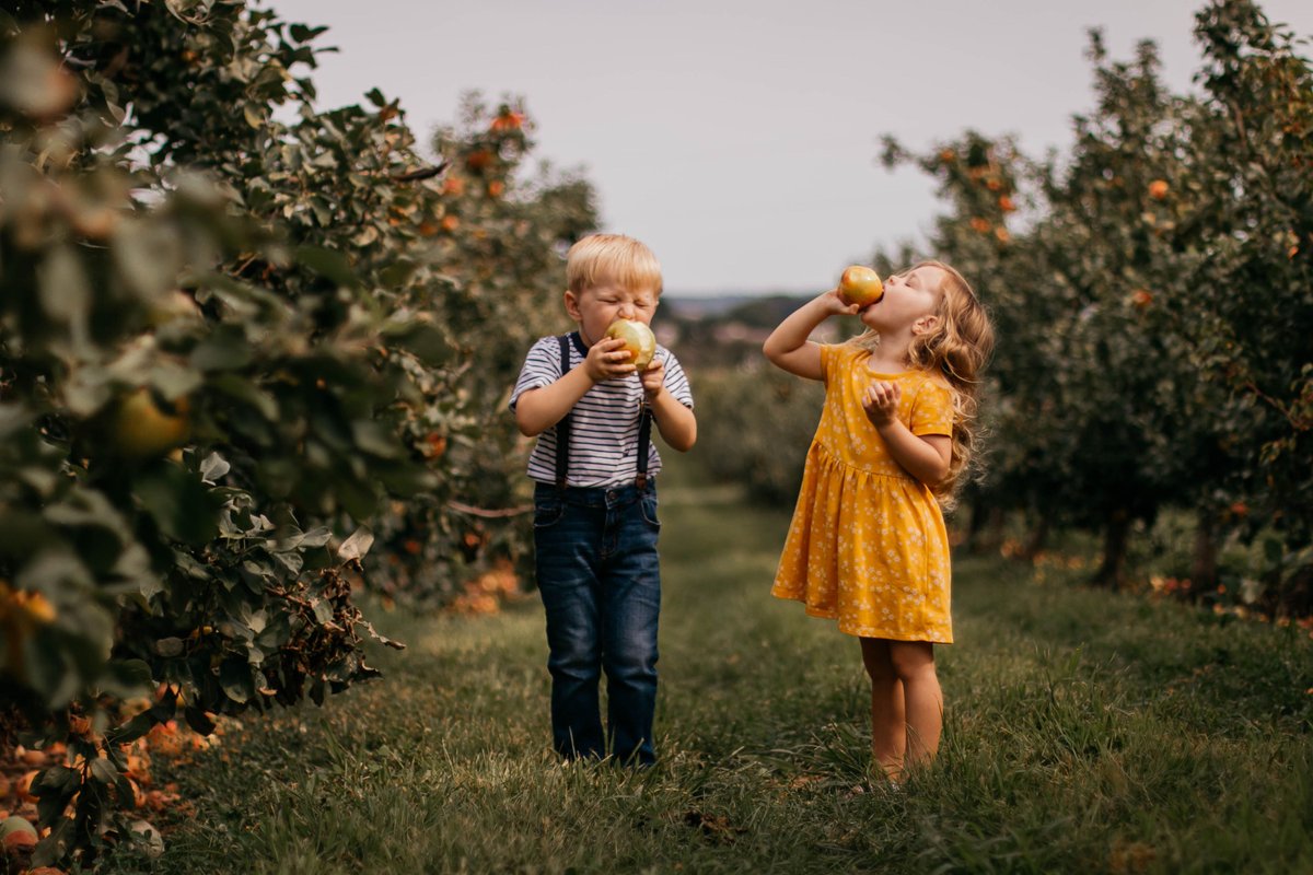 Find a friend that LOVES Honeycrisp Apples as much as you do!

We are so excited to announce that Pick-Your-Own Honeycrisp Apples open for the season this Friday, but are only available through Monday, so get to the farm over Labor Day Weekend to enjoy one of our favorite apples.