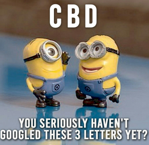 LUFFBrands's tweet photo. CBD you must have heard about it

#CBD #CBDbenefits #health #wellness #heathandwellness #cbdoil
#luffbrands #luffcbd https://t.co/itNkEfqloc