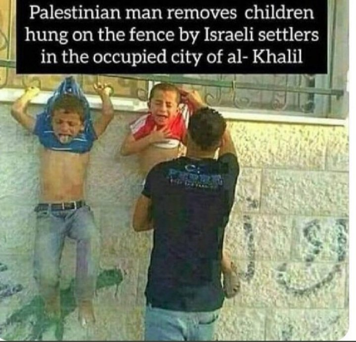 gianlucamart1's tweet photo. Immaginate di vivere a Hebron, immaginate di trovare i vostri figli appesi ad un cancello da alcuni sionisti e, infine, immaginate di ascoltare Letta, Calenda e compagnia cantante, solidarizzare con quelli che hanno appeso i vostri figli. https://t.co/2vtXAQtzDu