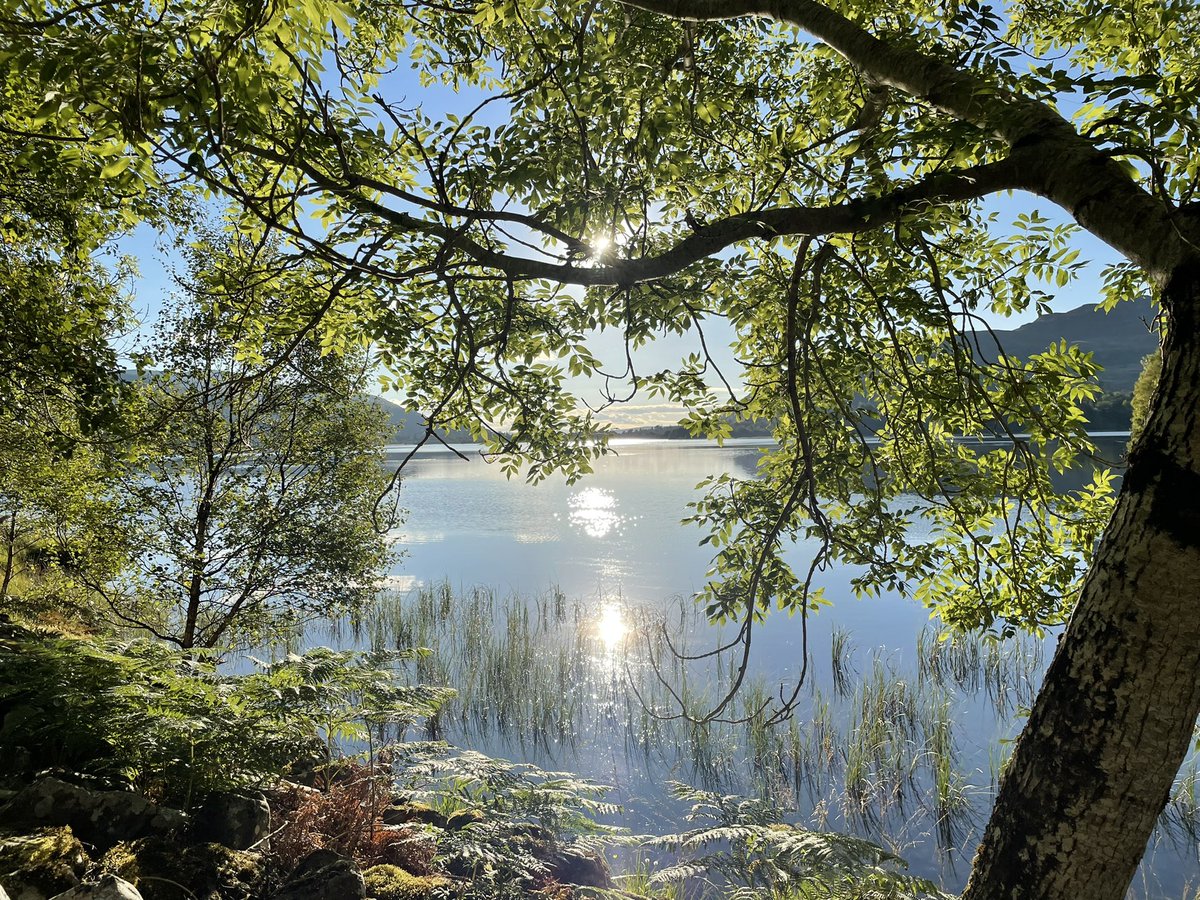 Sarah Levine tweet media