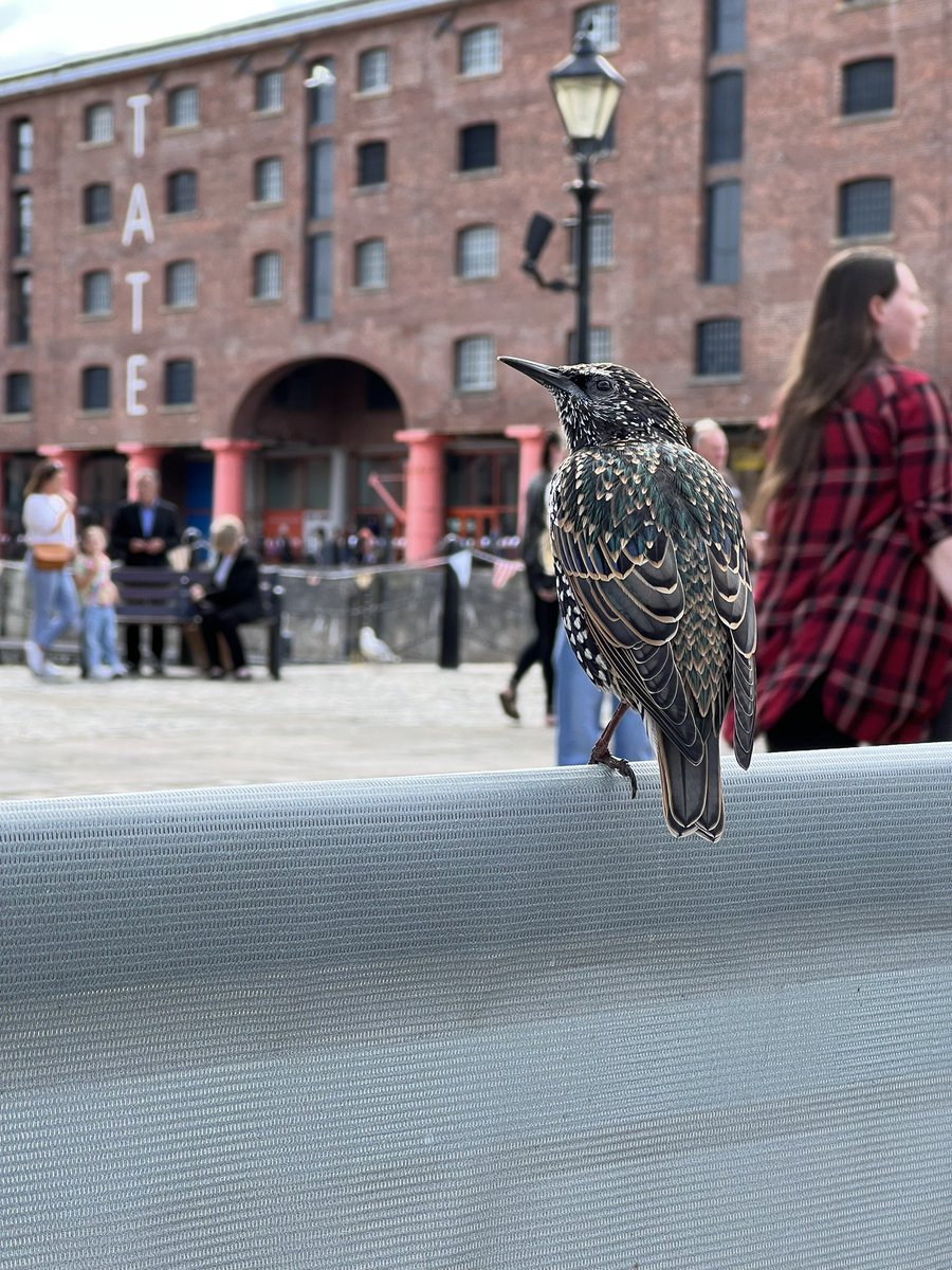 Willbillroy's tweet photo. Who knew I would love Liverpool so much!! #roadTrip #candid #guesshowlongthepicturetook https://t.co/ebfLdtOQnq