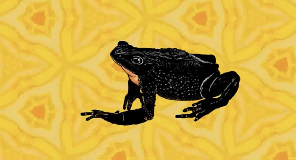 Muy pronto tendremos el lanzamiento oficial de la Alianza Jambato

¡Espéralo!

Official launch comming soon!

#SomosJambatos

🔗youtu.be/Z0rwziLIyQY