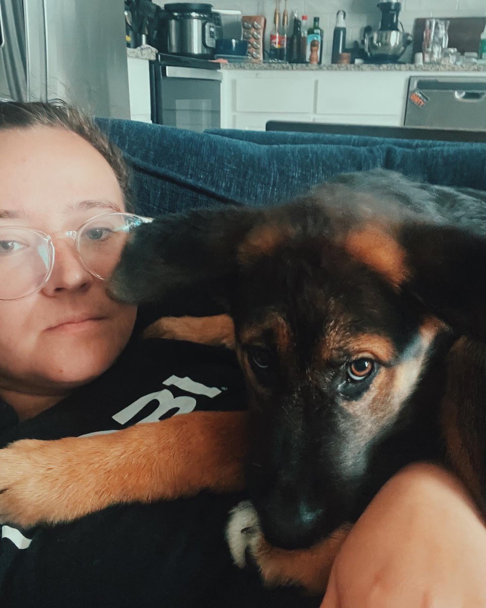 pairahslacks's tweet photo. I wanted to introduce twitter to Knox- our 40 pound 5 month old puppy with severe separation anxiety and always wants to be held and cuddled. Also he will do anything for spray cheese https://t.co/XBOYpx5TMg