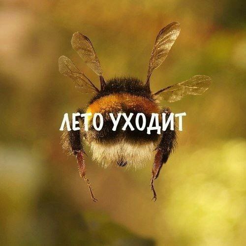 RussianMemesLtd's tweet photo. summer is leaving https://t.co/DJqpr8KCge