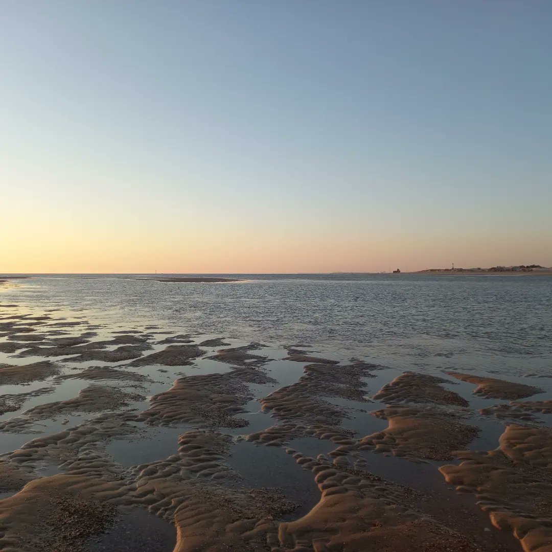 LucileErb's tweet photo. Islas de Isla...
#Trabuco #SanctiPetri #Camposoto #PuntadelBoqueron #puestadesol #coucherdesoleil
#quebonitalaisla 😍 https://t.co/Oi7NH7yqOx