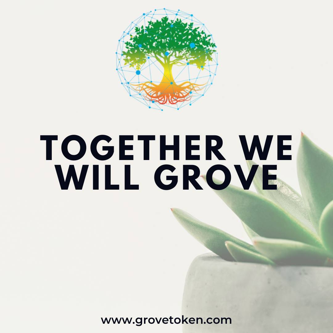 Tomorrow, September 1st. 
We will announce another exchange listing at 18:00 UTC +8, increasing exposure and attracting new investors.

#grovetoken #bsc #binance #eth #ethereum #crypto #greenenergy #gogreen #hydroponics #aeroponics #nfts #metaverse