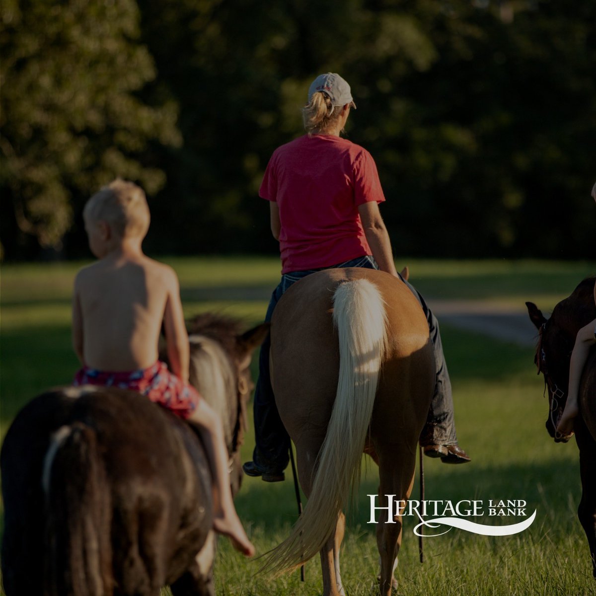 So many of our customers enjoy the personal freedom of being a landowner. From fishing and hunting to horseback riding and shooting, there is always some activity to share with family and loved ones - on your land.