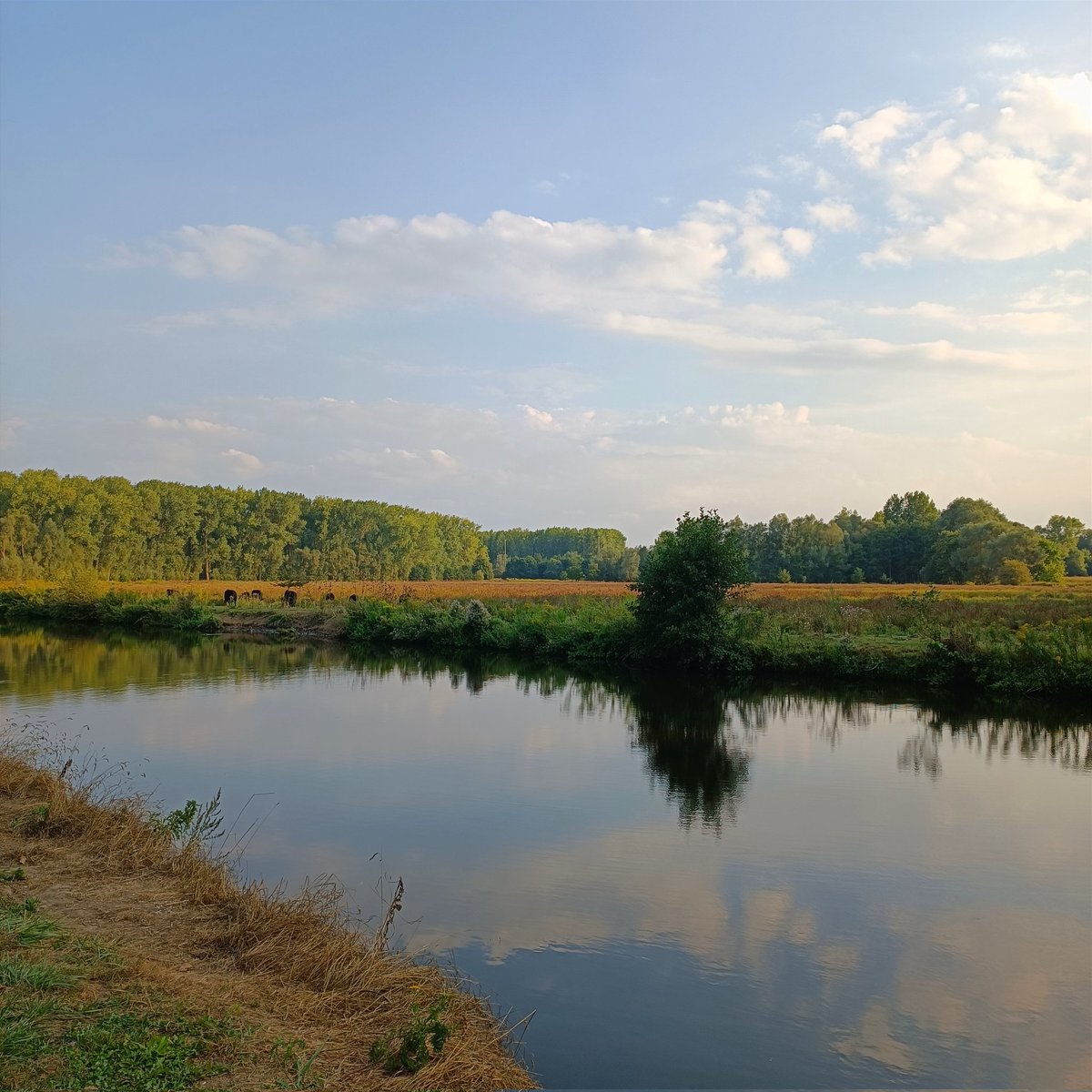 EMeirsch's tweet photo. #vrtweer #erembodegem #mountainbike https://t.co/9jKlcYsowa