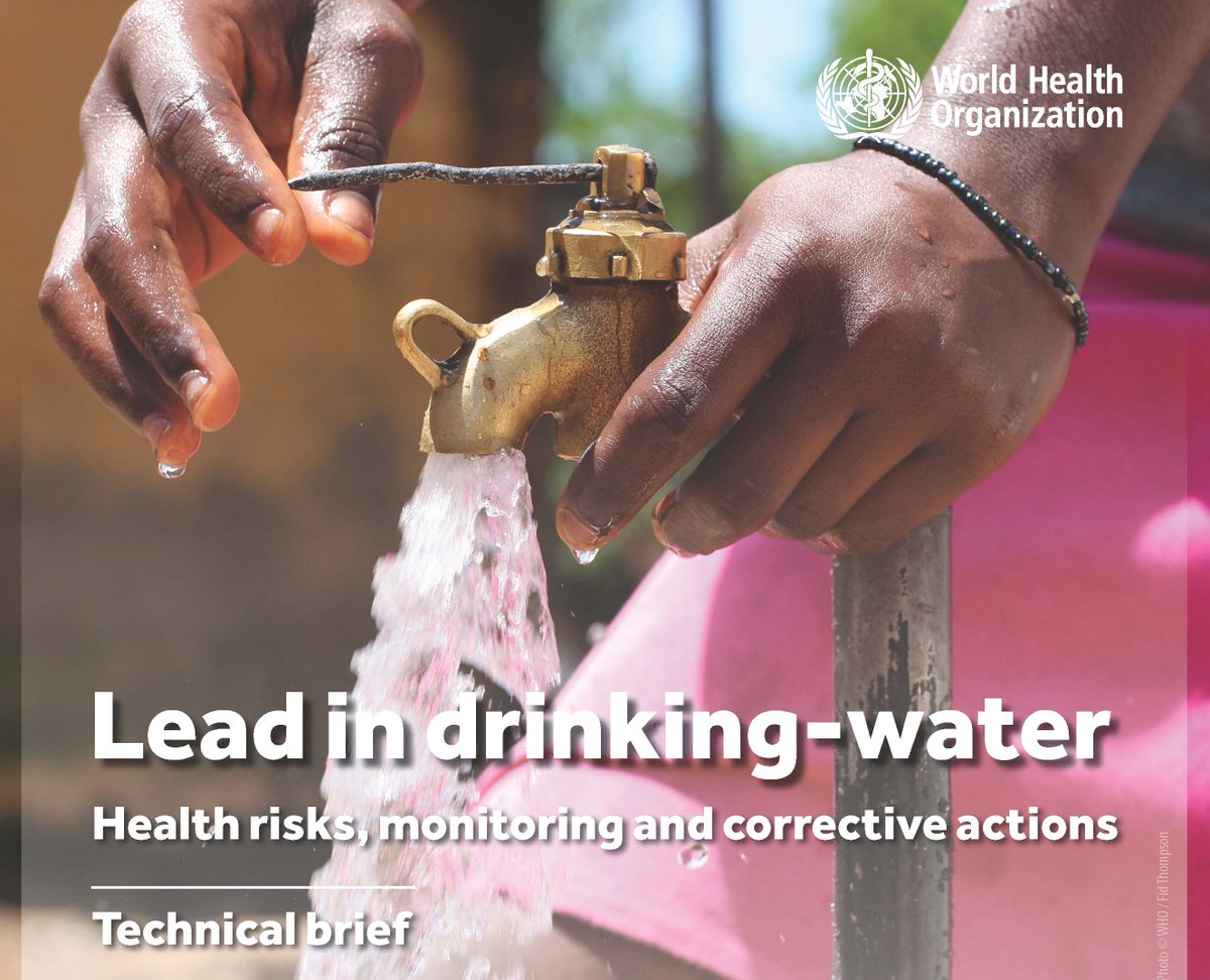 Prison_Health on Twitter "Lead in drinkingwater Health risks