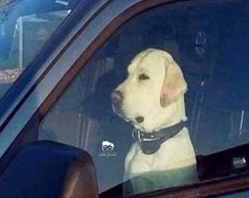 Yo ignorando al auto de al lado después de casi chocarlo