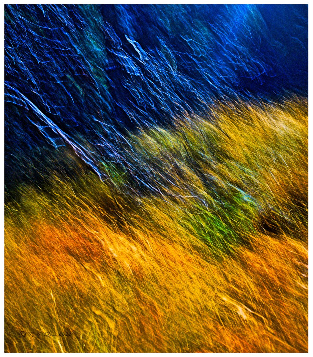 kline_rob's tweet photo. Flow; forest edge on +30C day. #intentionalcameramovement #intentionalblur #icm #abstract #forestedge #impresionism #impressionistic #impressionisticlandscape #landscape #abstractlandscape #intentionalabstract #saltspringisland #ricohgrii #darktable https://t.co/sKYpGRcKTO