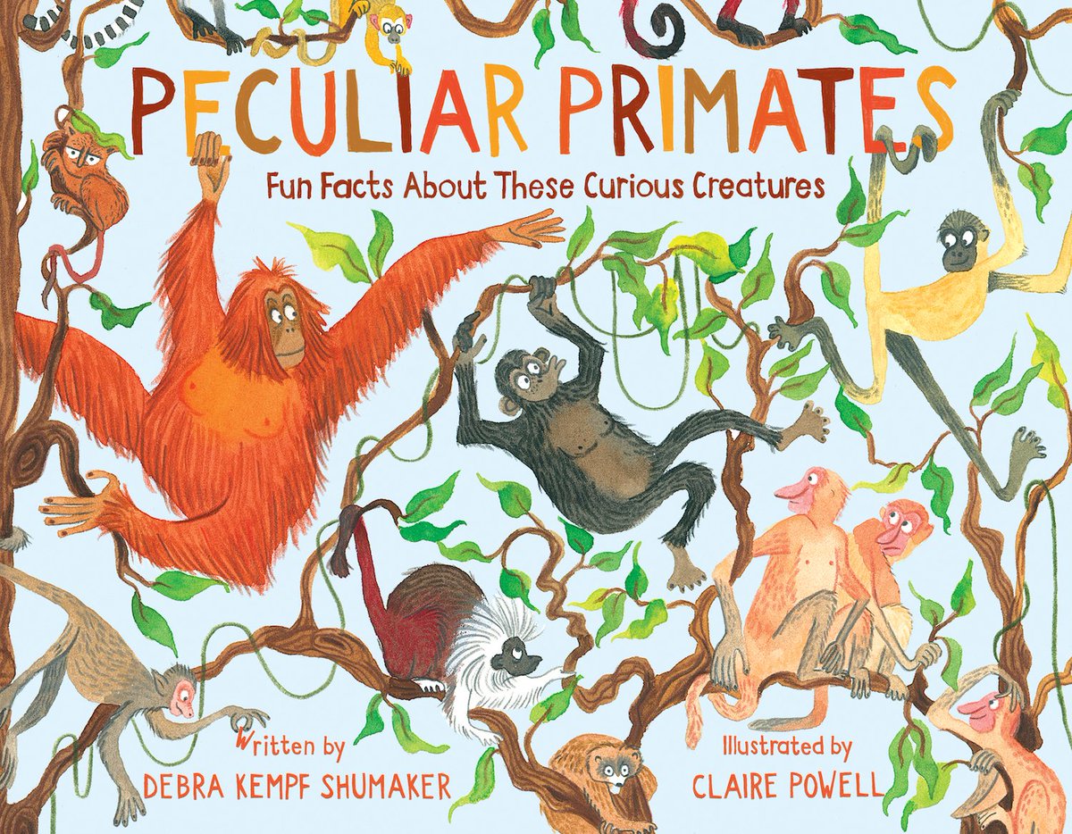 Sep. 1 is #InternationalPrimateDay! Learn fun facts about them in PECULIAR PRIMATES—releasing Oct 11. Want an early copy? Follow, Reply/RT this tweet! Ends midnight 9/2. Winner announced 9/3. USA only. @RP_Kids @misspowellpeeps @NEPrimateConsrv #Giveaway #Primates