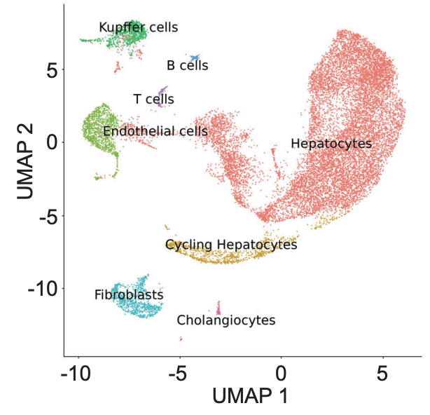 dna_rosenberg's tweet image. Our new preprint, led by @epic_genetix, introduces a massive improvement to combinatorial barcoding scRNA-seq. Across different samples, this v2 chemistry results in up to 2x improvement over Parse’s v1 chemistry and an order of magnitude over SPLiT-seq. biorxiv.org/content/10.110…