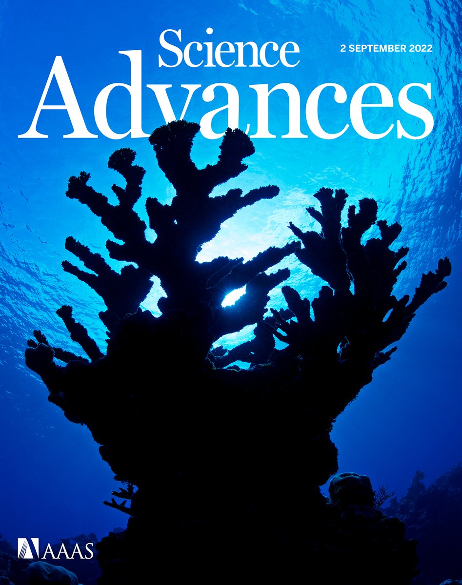 Science Magazine on Twitter "RT ScienceAdvances Elkhorn coral’s