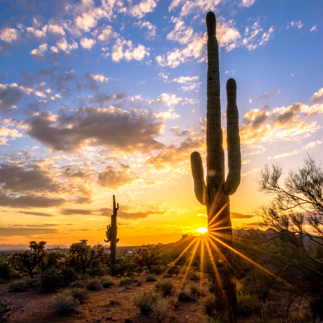 There is nothing quite like an Arizona sunset 😍