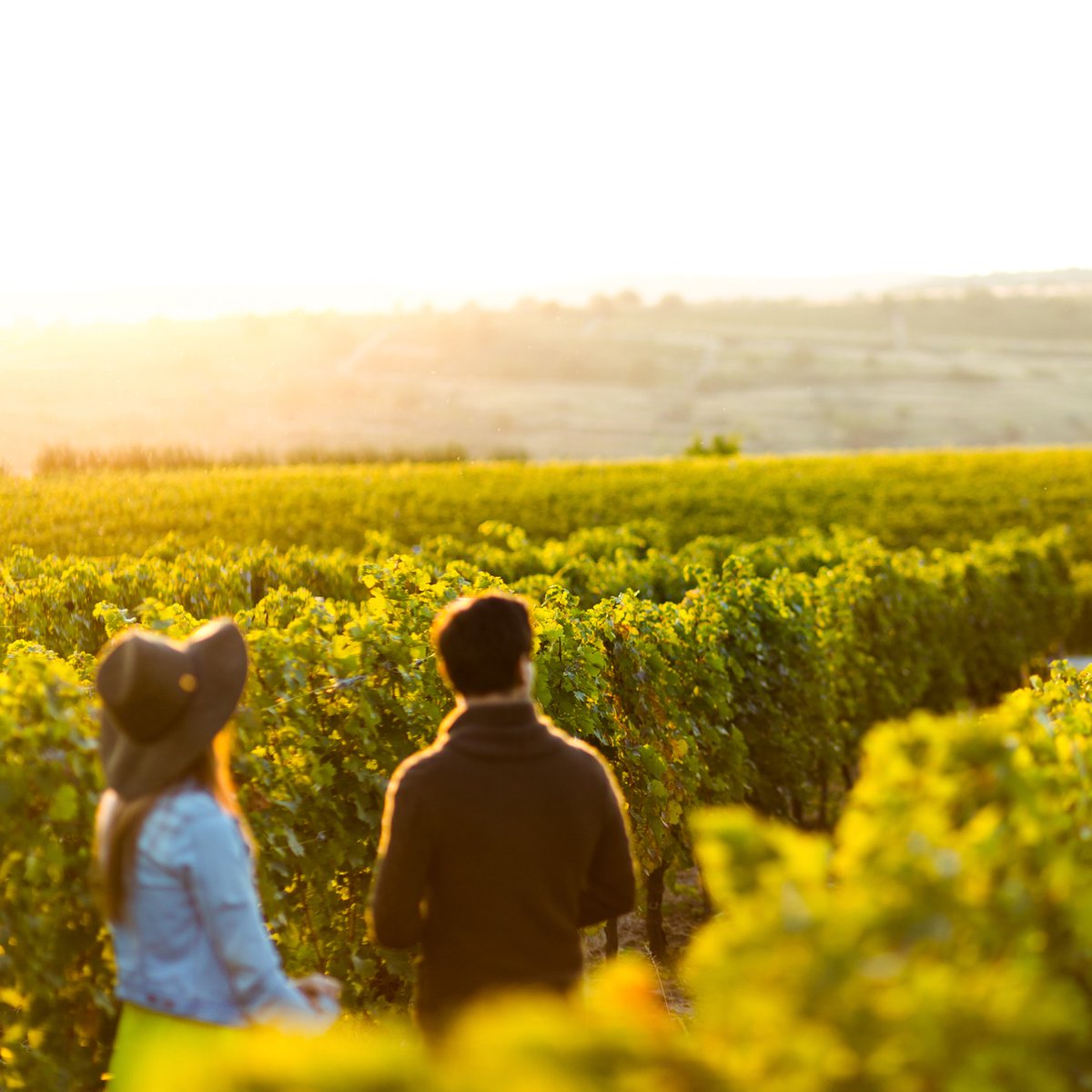 getVINEBOX's tweet photo. We’re preeeeetty #exclusive around here when it comes to our wines! Out of 11,358 #wines tasted, only 1% made the cut.

But we’re also all about inclusivity and making these incredible wines more accessible, and on your doorstep in a matter of a few clicks. https://t.co/UFo2lQmEDY