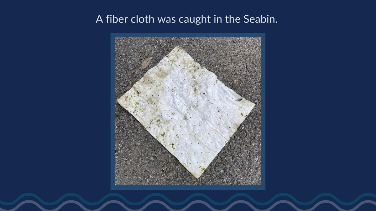 GLPCleanup's tweet photo. Check out the "Catch of the Day" from our #PlasticCaptureTechnology at @cityofkingston Portsmouth Olympic Harbour.
To get involved, visit our website https://t.co/ac3YEUhCZ7 https://t.co/BsxWsGwqe3