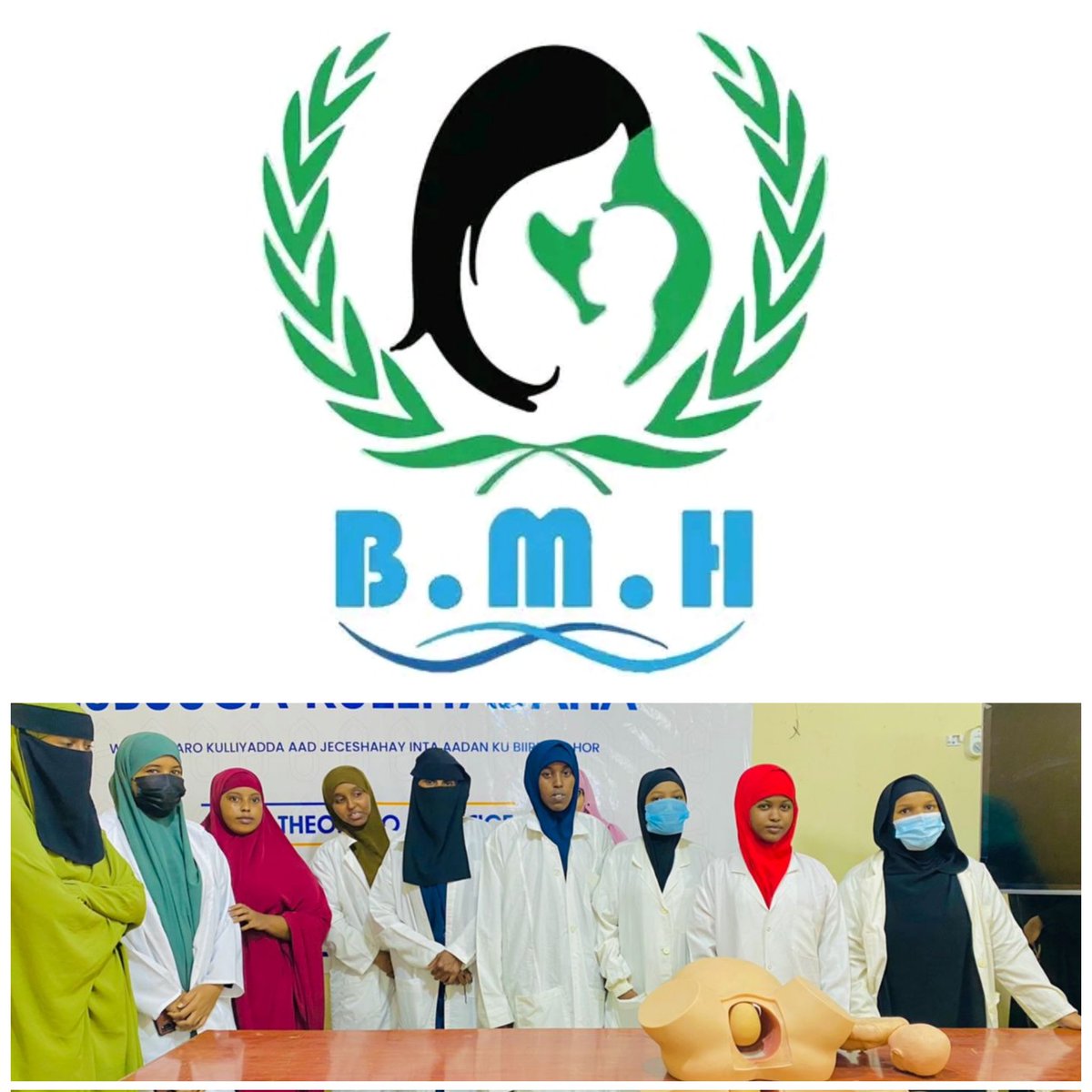 Somali Women Health Professionals council(SOWHEP) tweet media