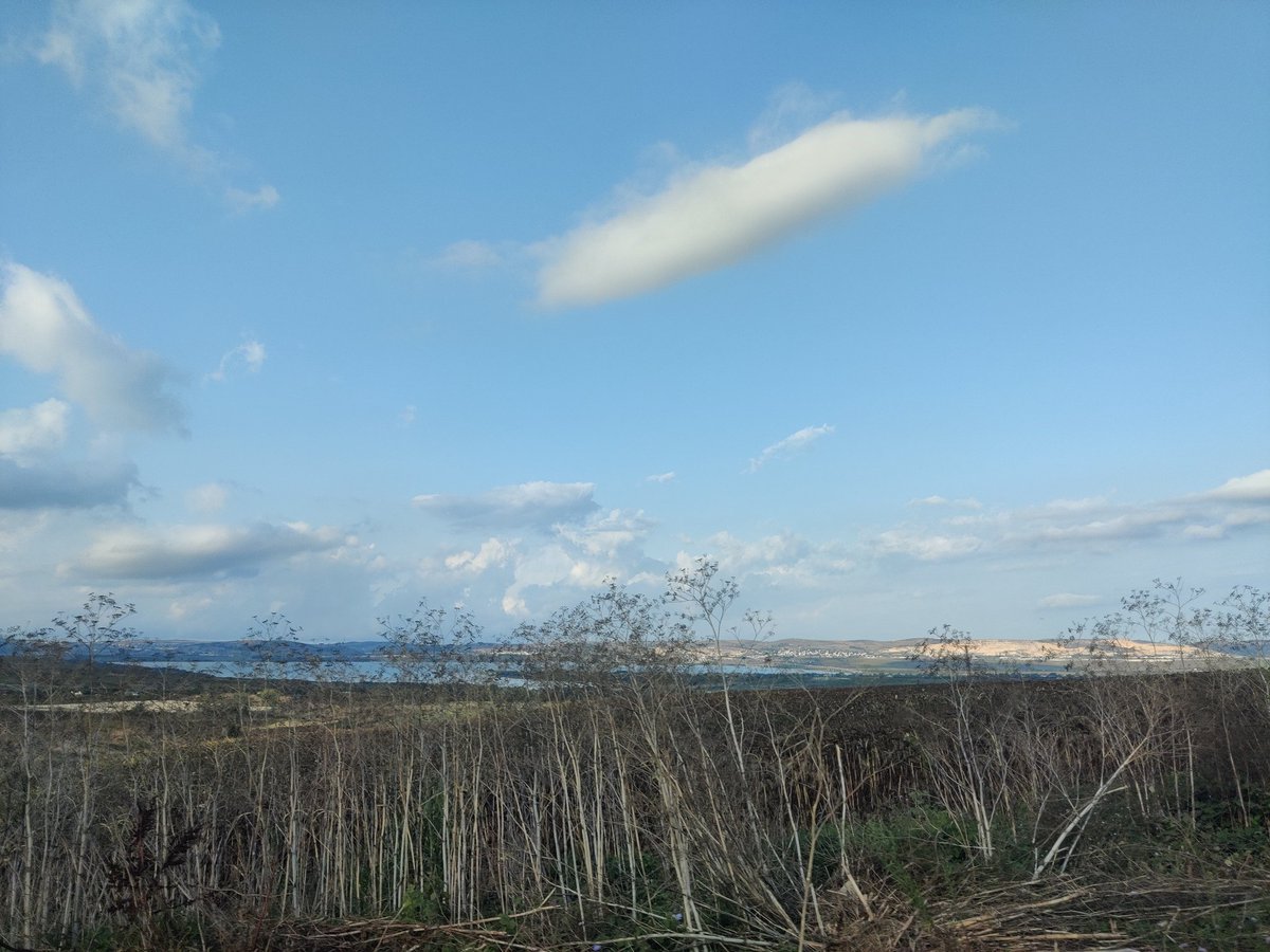 Thinking, reflecting and celebrating a day ahead at IICS. The drive to school reminds me of the importance of slowing down and enjoying the everyday changes in our natural world. #nature #environment