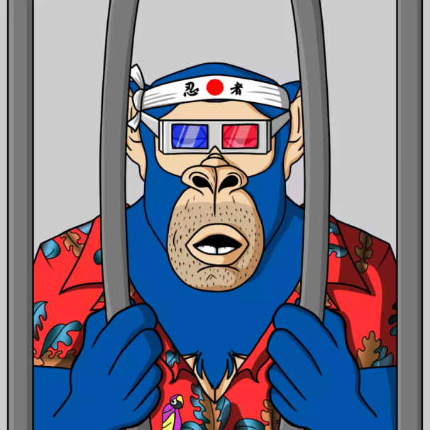 Hey #algofam ,one of our friend would like to sponsor this amazing Prisoner Apes #187 as a start of their journey here in #Algorand #freeape

🚨TWITTER GIVEAWAY🚨

 🐒Winner will take PAPE187 (710955846)

1⃣ Follow 
<a href="/MHeepow/">Heepow.algo</a> and <a href="/PrisonerApe/">Prisoner Apes</a> 
2⃣ ❤️+♻️
3⃣ Tag 3 🫂

Ends  48 Hours!