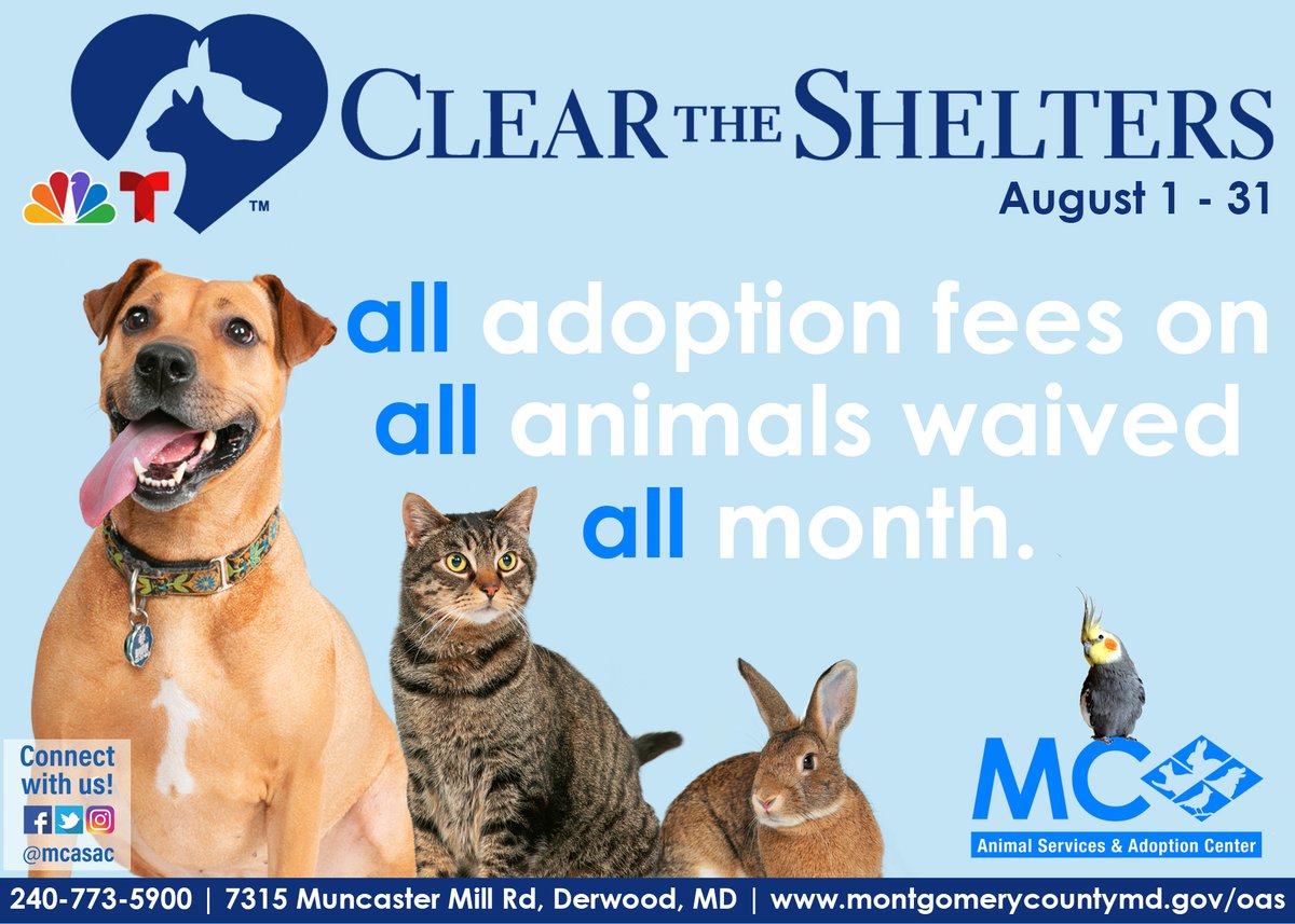 Today is the final day of Clear the Shelters!

All adoption fees are 100% waived on all animals, but only if you submit your completed adoption application by the end of the day today! You'll receive a FREE ADOPTION voucher valid thru 9/8!

To apply, visit bit.ly/3QiYSox