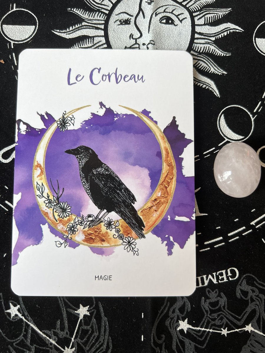 SagiSun_Laeti's tweet photo. Scorpion ♏️ 
Le Corbeau https://t.co/dUNfbsW1ZN