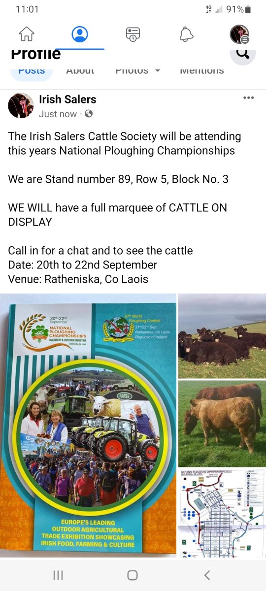 BullBank Seamus Nagle tweet media