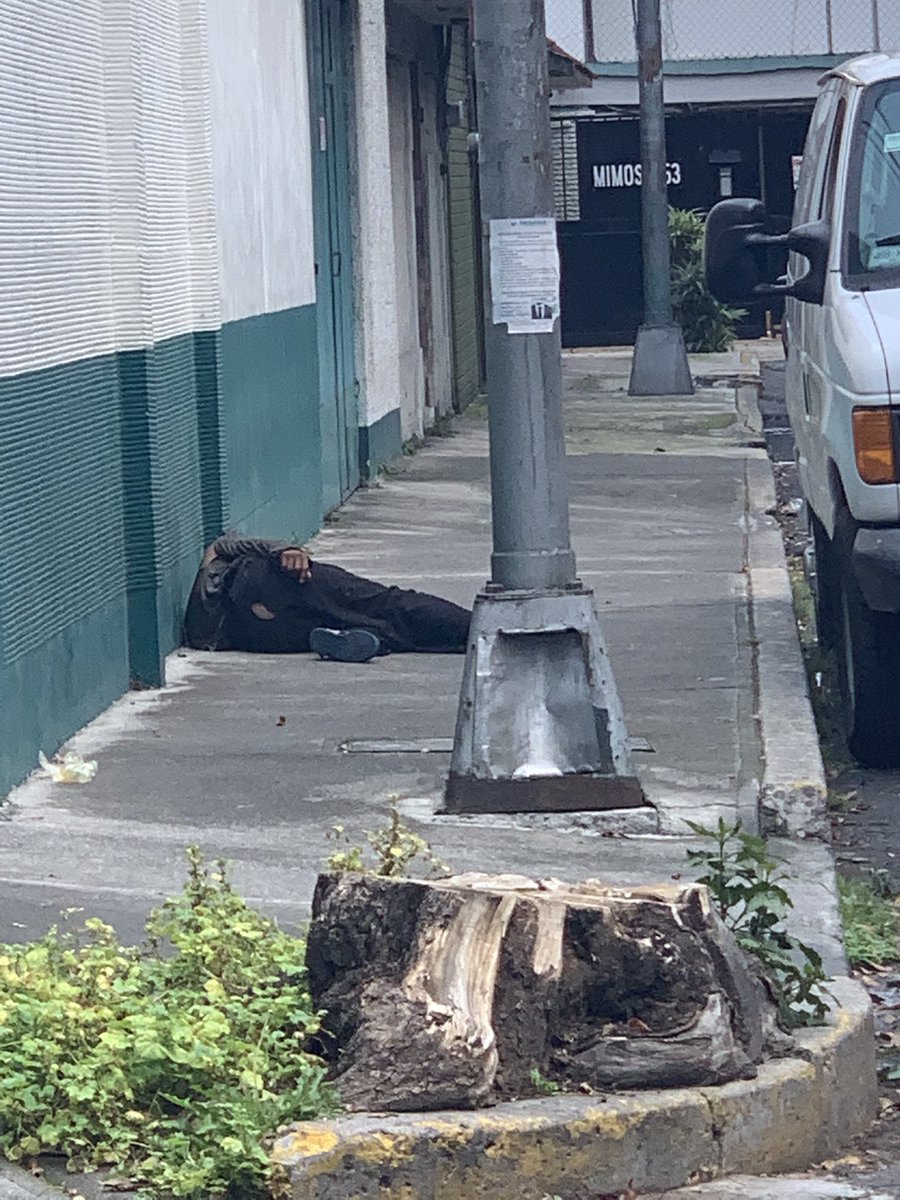 Cd. Jardín Coyoacan tweet media