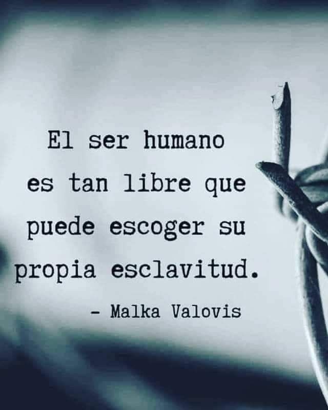 avanzandoacasa's tweet photo. ❤️ https://t.co/tgkXGfmqsH