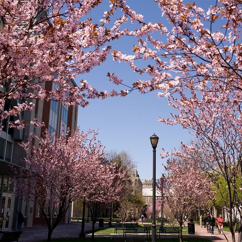 RutgersGHI's tweet photo. We're hiring! Searches are underway for these tenure-track/tenured faculty positions at @RutgersGHI:

✅ Cancer Care &amp; Prevention in Sub-Saharan Africa
✅ Global Health
✅ Health Equity, Social Justice &amp; Population Health

🔁 Retweet to spread the word!