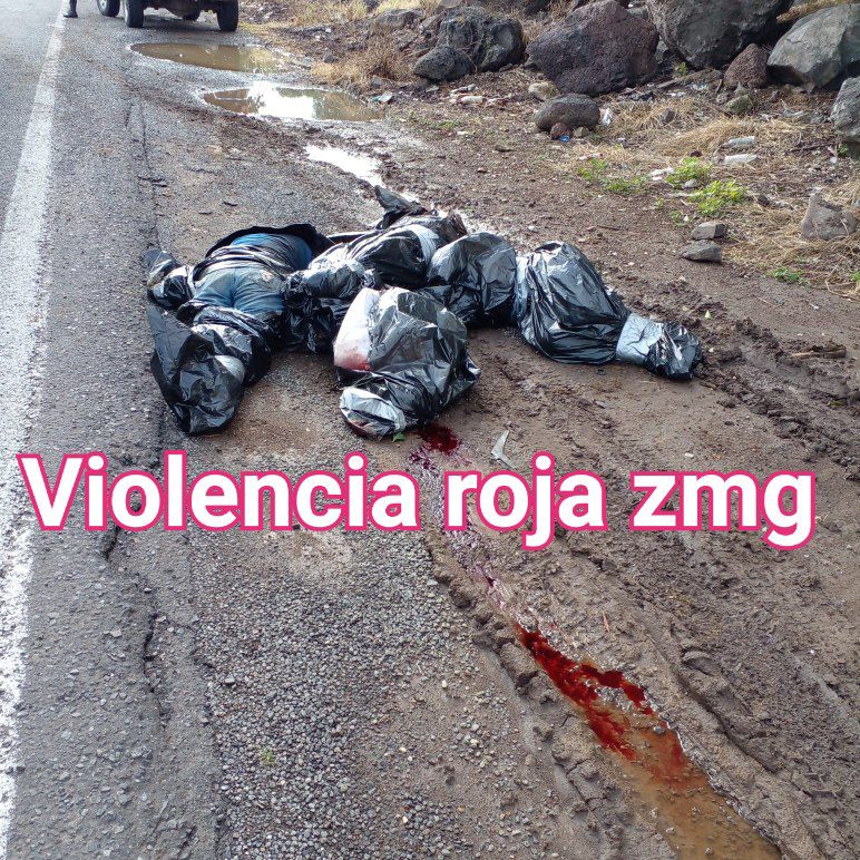 ViolenciaRojaZmg tweet media