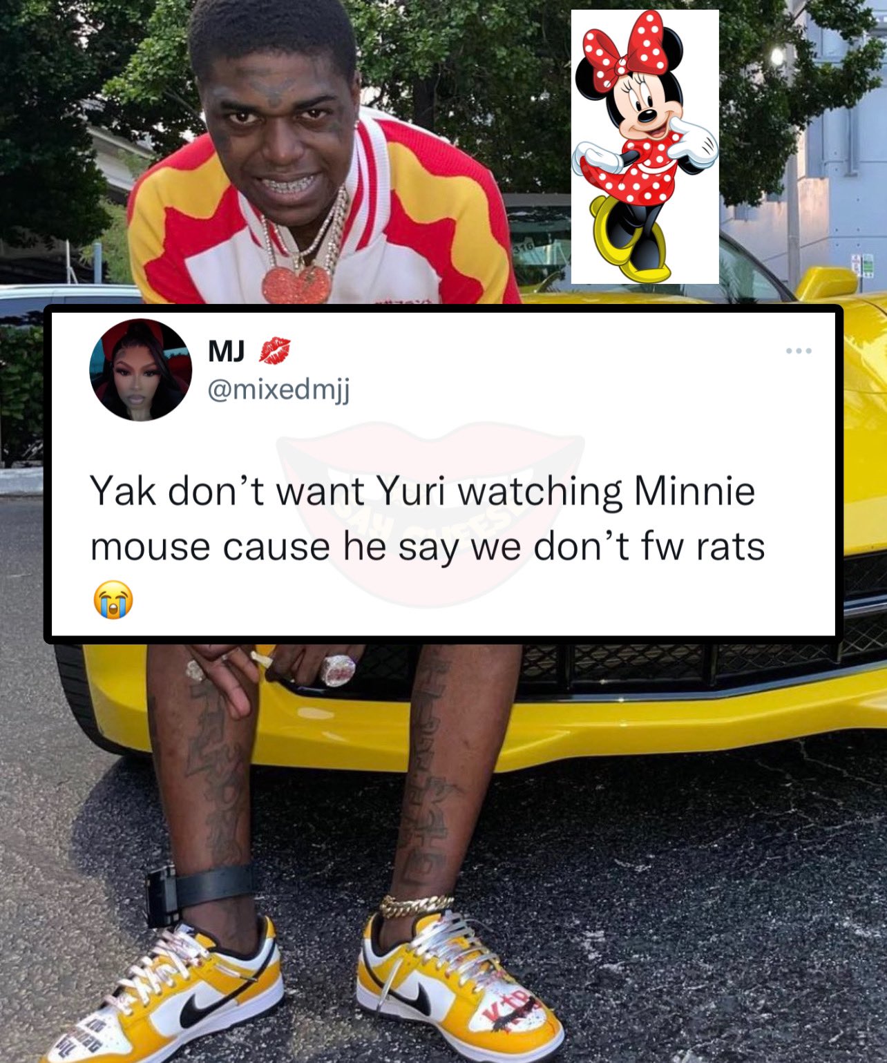 SAY CHEESE! 👄🧀 on X: Kodak Blacks baby-mama says he doesnt let their  daughter watch Minnie Mouse because he doesnt like rats  t.codgjCSvwByN  X