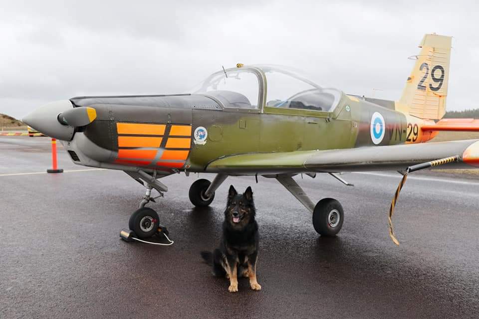 Nyt ne Vinkat lähtevät Tikkakoskelta. Vaan ehdittiinpäs ottamaan kuva Vinkasta ja Vinkasta 😀
#kuntakoira #jyväskylä #ilmavoimat
