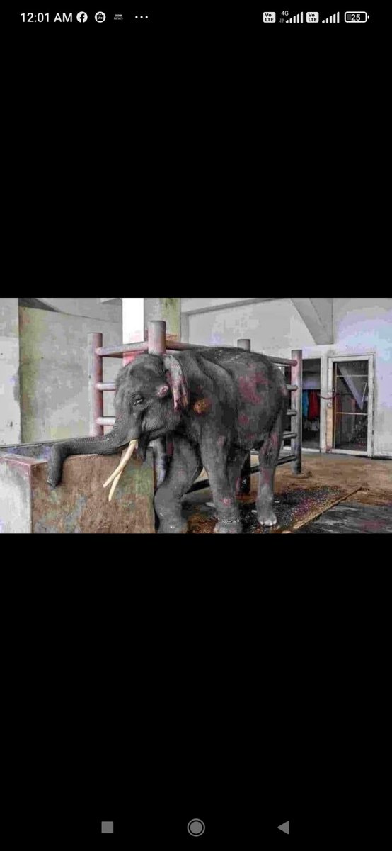 debajitsar's tweet photo. @himantabiswa 

Please save her..... Please. Bring her back. 😭😭😭😭😭😭 https://t.co/3OLOMGCk3p