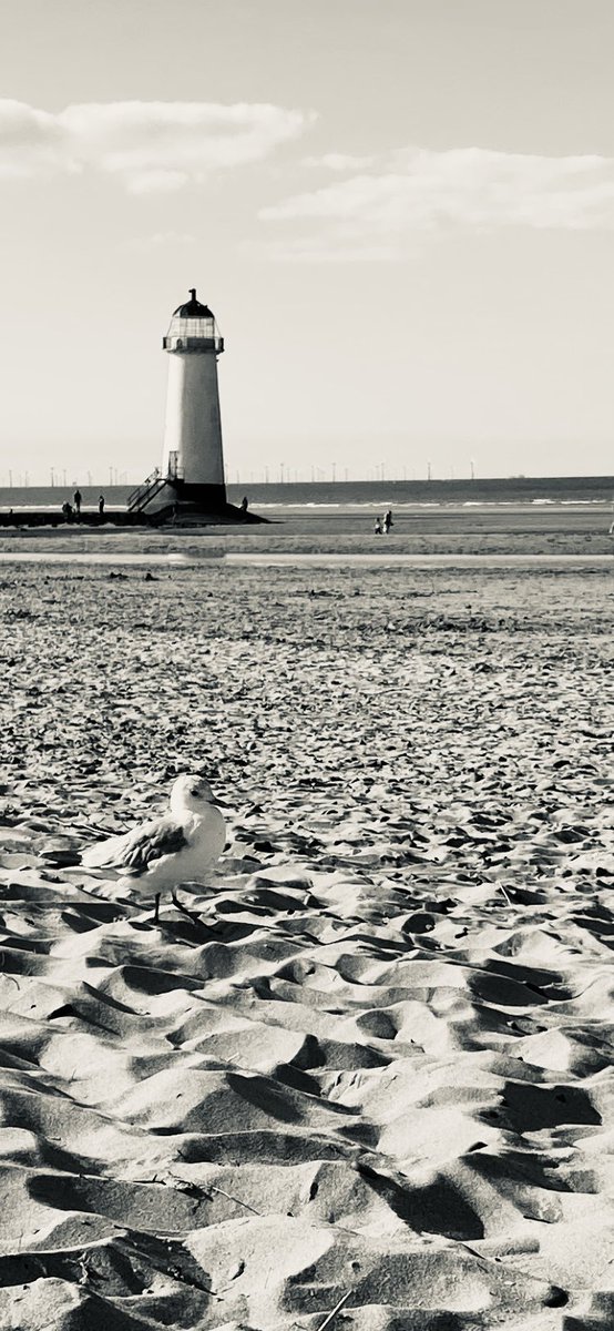 jo_brook's tweet photo. Talacre lighthouse #lighthouse #talacrebeach https://t.co/hyKUr6RtY8