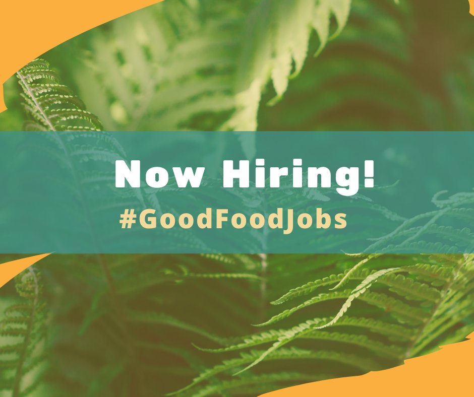 💥 #GoodFoodJobs Alert 💥 
Lots of positions w/amazing orgs in the food justice space like @LaSemillaFC, @HCWithoutHarm, @kitchtabladv, @Public_Justice, @UrbanTilth, @WarehouseWorker + more! 👀 full list of jobs in HEAL's newsletter: tinyurl.com/yune26f3

🧵 / 1