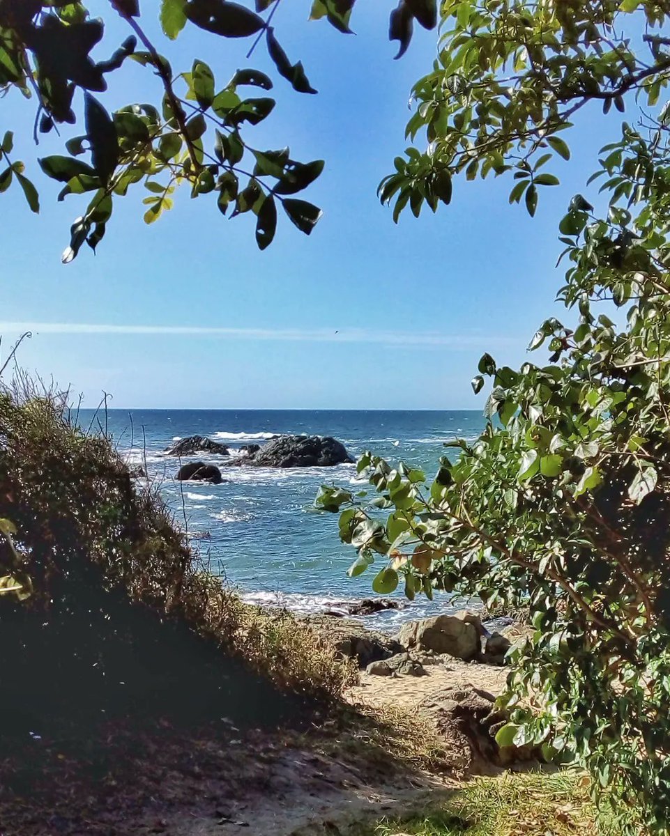 DestinoLiber's tweet photo. #Paraíso pode ser todo e qualquer lugar! 🍃🌊☀️

#destinoliberdade #traveler #travel #travelblogger #nomad #santacatarina #descubrasc #freedom #penha #penhasc #praia #playa #beach #euamosc #natgeotravel #wanderlust #mtur #turismonosul #turismobrasil #photography #lifestyle #SC https://t.co/tvSML06kEU