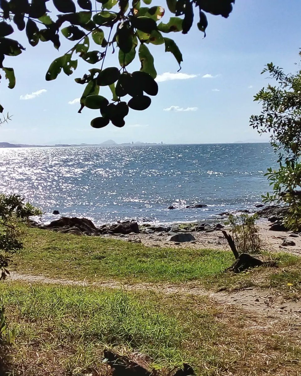 DestinoLiber's tweet photo. #Paraíso pode ser todo e qualquer lugar! 🍃🌊☀️

#destinoliberdade #traveler #travel #travelblogger #nomad #santacatarina #descubrasc #freedom #penha #penhasc #praia #playa #beach #euamosc #natgeotravel #wanderlust #mtur #turismonosul #turismobrasil #photography #lifestyle #SC https://t.co/tvSML06kEU