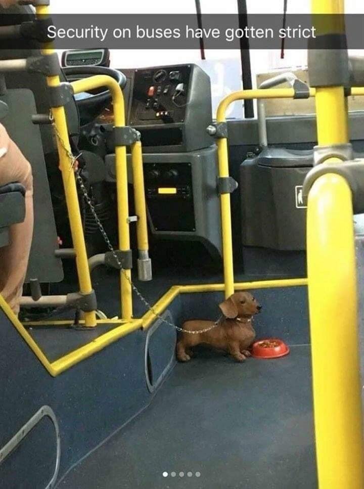 WholesomeMeme's tweet photo. https://t.co/DJo1FB8Pwf
