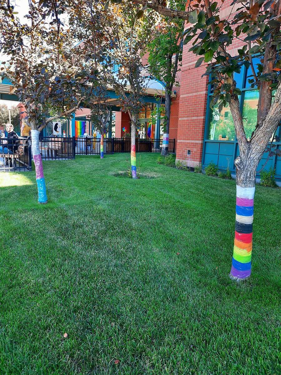 glendaduruptAHS's tweet photo. Loving our #YYCPride trees at the PLC.
#LoveIsLoveβ€οΈπ§‘ππππ
#PLCPositivity
#EveryoneIsWelcomeHere https://t.co/NQZmJlLy1l